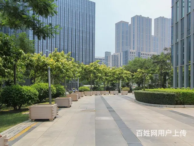 会展软件园 观音山 高层全新精装，带3个隔间 多套69元急租 - 图片 11