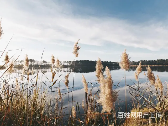 苏州太仓无锡昆山有资质的翻译公司 - 图片