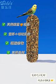 鸟类磨牙棒，异宠谷物能量棒
