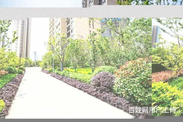 （特批）超低工抵房！1.65万 错过再无！免佣！朗诗兢园旁 - 图片 12