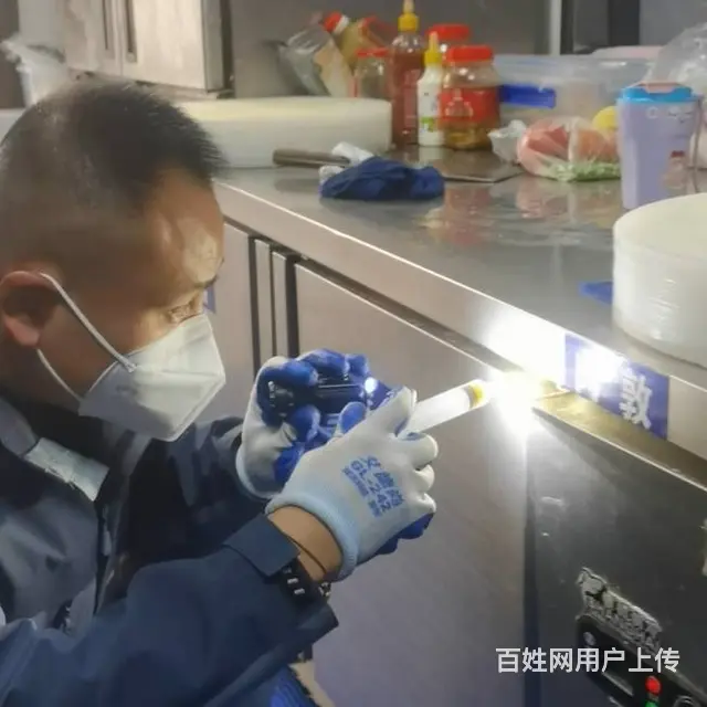 马小虫，除虫师傅找订单平台 - 图片 3