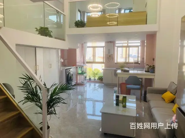 湖塘吾悦广场稀缺带燃气复试挑高毛坯精装 后几套手慢无 - 图片 2