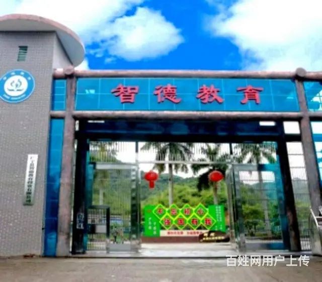 广东惠州叛逆网瘾逃学早恋孩子教育学校,广东智德教育 - 图片 1