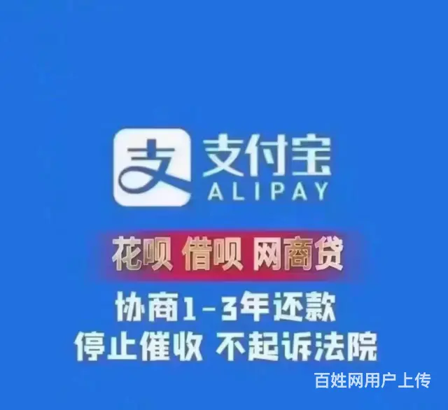 莱芜**代办停息分期 - 图片 3
