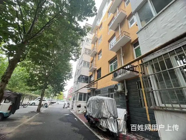 抢！丰泽园 精装好房 双卫生间 户型方正 中间好楼层 老证 - 图片 11