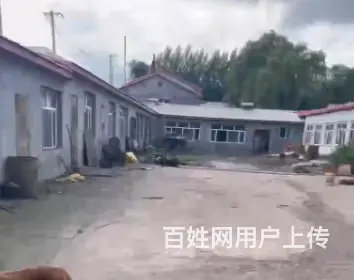 厂房、养殖、库房、仓库、平房出租 - 图片 6