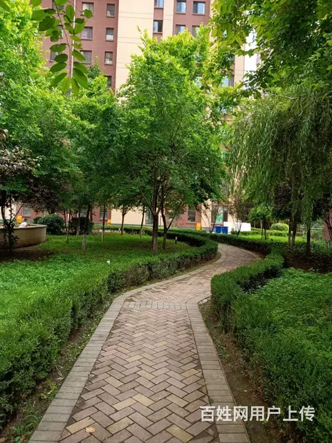 地工路鑫城广场抹账房98平 - 图片 9