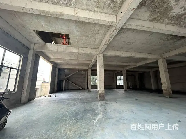 （老板本人）黄兴镇独门独院全新厂房/仓库出租 6511 - 图片 6