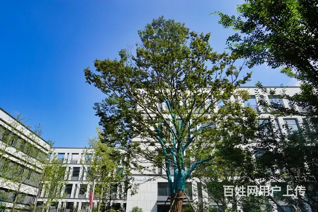 联东园区厂房招商 600-6000平米，单价4字头起欢迎咨询 - 图片 6