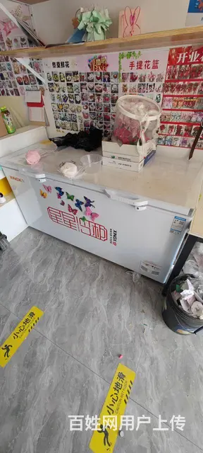 出售星星冰柜518升，购买不到一年，只使用半年，特 - 图片 5