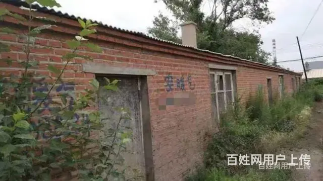 哈市呼兰区长岭村厂房出租 - 图片 3