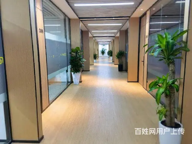 免中介费 湖里创新园 后BRT站 租金55元家具有政策补贴 - 图片 5