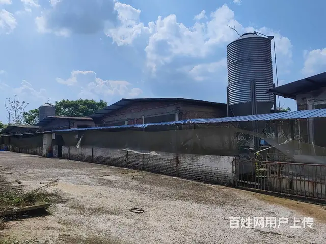 南充麦伦农业有限公司猪场招租公告 - 图片 1