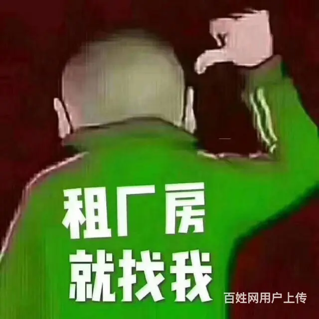 陆家原房东厂房出租 - 图片