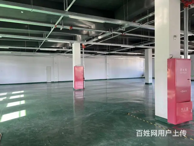 陆家原房东，一楼400平二楼400平，丙类消防，3吨货梯 - 图片 5