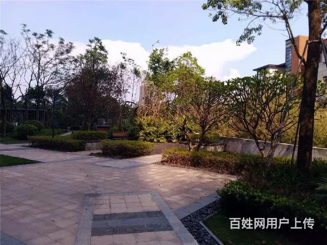 中信红树湾北区 看河景 126平方 保养新 通透 诚心出售 - 图片 12