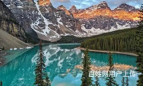 美国人才移民怎么办？移民内参网助你轻松搞定！ - 图片