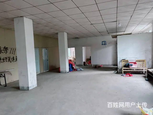 （老板本人）雨花区红星冷链附近独门独院厂房/仓库出租6095 - 图片 8