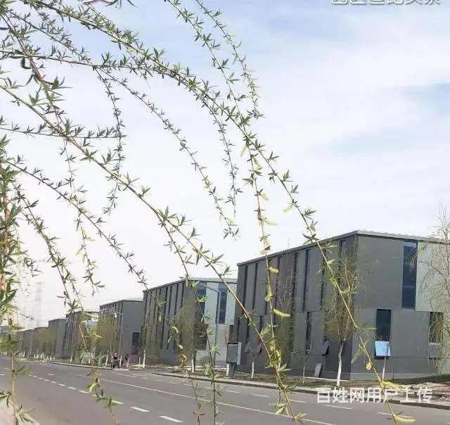 米东区工业园浙商创业园康庄西路厂房出租 - 图片 2