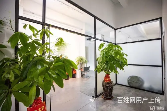 商业摄影棚免费转让厂房办公空间电商办公直播展厅等 - 图片 7
