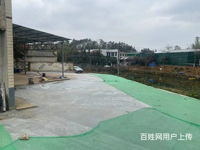 （房东直租）雷锋大道300，500平两栋厂房带1000多外坪 - 图片 8