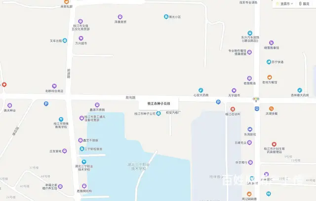 枝江市胜利路5号院内千余平仓库出售出租 - 图片 1