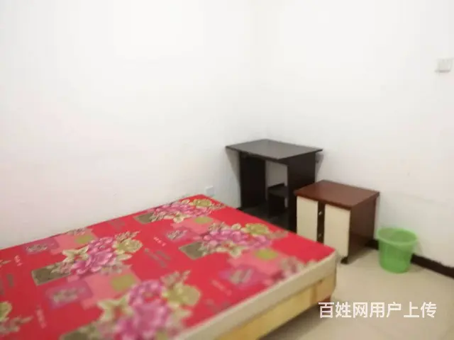 龙华二期套二出租 - 图片 6
