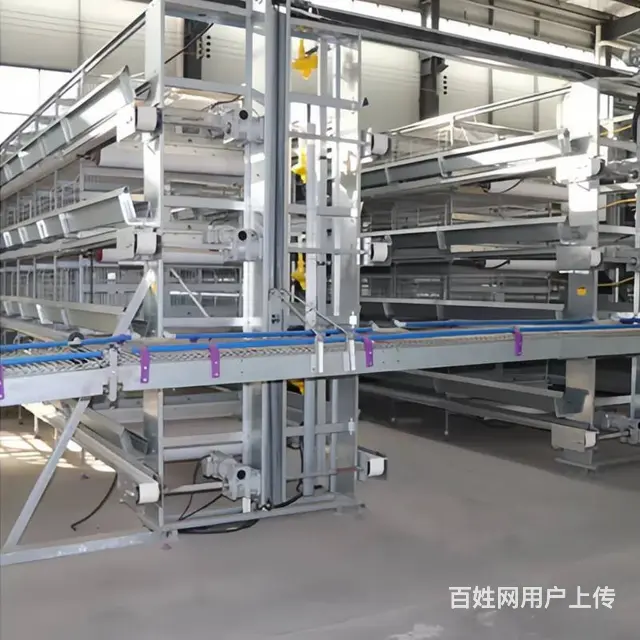 鸡笼全国直销安装 可定制 蛋鸡笼育雏笼肉鸡笼设备 - 图片 1