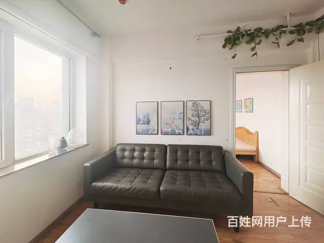 一室一厅(铁西广场地铁口)独立卧室 无中介费 中等装修 - 图片 3