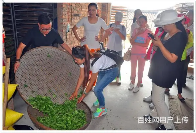 长春茶艺培训问天晟茶艺培训学校：茶艺培训班招生简章 - 图片 3