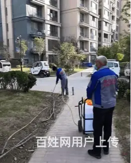 商丘灭鼠电话商丘绿佳环保 - 图片 2