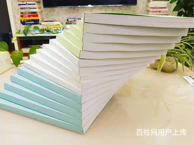 泰安标书制作【为客户做好每一份标书】 - 图片 4