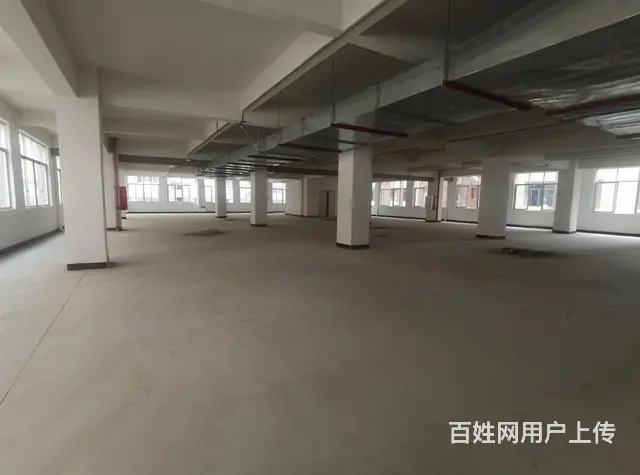 国有红本小独院厂房出售，台湾人年纪大退休回台 - 图片 8