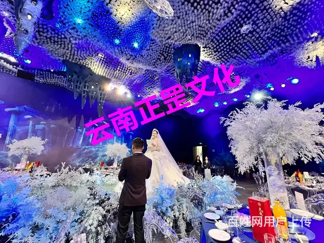 中西式婚礼策划、灯光音响、场地布置、摄影摄像、演出 - 图片 4