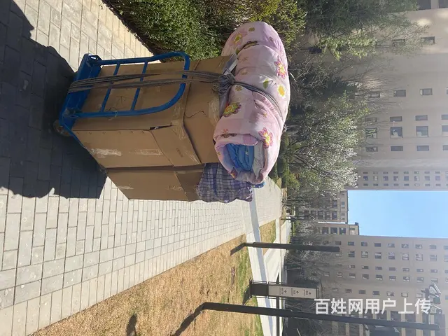 搬家我们是专业的 - 图片 9