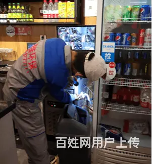商丘市灭鼠公司丶专业提供除老鼠公司 - 图片 3