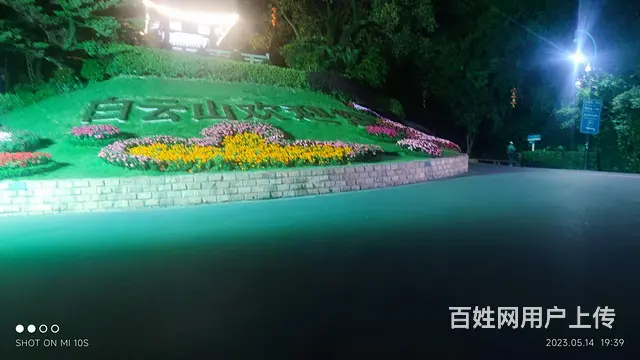 相约行白云山山上打羽毛乒乓球练太极 - 图片 4
