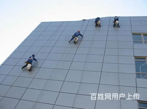 专业清洗地毯.擦玻璃.开荒保洁.外墙清洗.家电清洗 - 图片 5