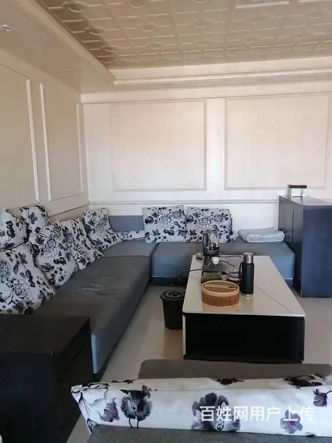 义全街鲤城实小总校后门旁 - 图片 5