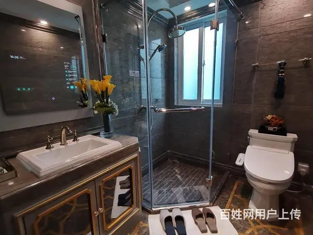 ！东部美的城.轻轨S1付6碗起，精装修吾悦广场旁 - 图片 8