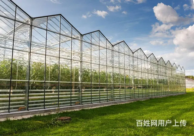 苏州卓尼PC板温室大棚，生产加工一体，可定制 - 图片 4
