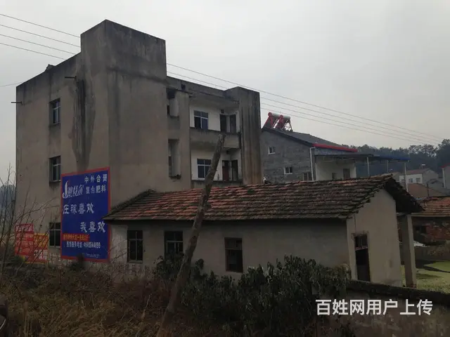 小鸦公路800方独栋房子带院子出租 - 图片 2