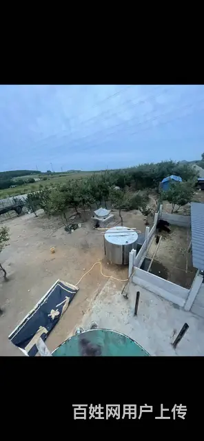 养殖场大院出租 有动力电 离市内6公里 - 图片 6