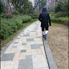 房屋整套优惠价一出租