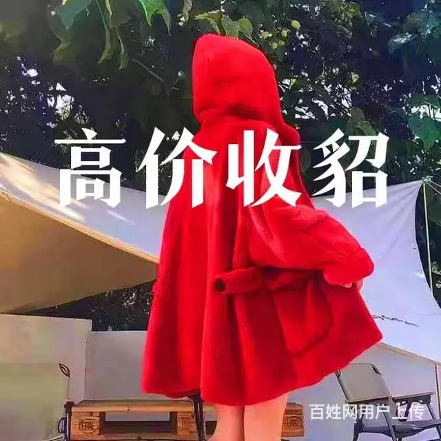 抚顺貂皮回收 抚顺回收貂皮大衣 专业回收貂皮大衣 - 图片 1