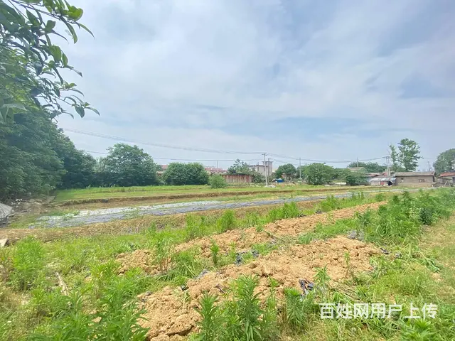 开福大道10亩坪，可做农家乐，花园，露营，种植养殖基地 - 图片 4