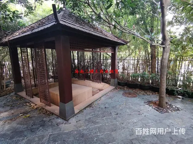 （三横王）占地2亩，1000平大独栋，值得拥有 - 图片 2