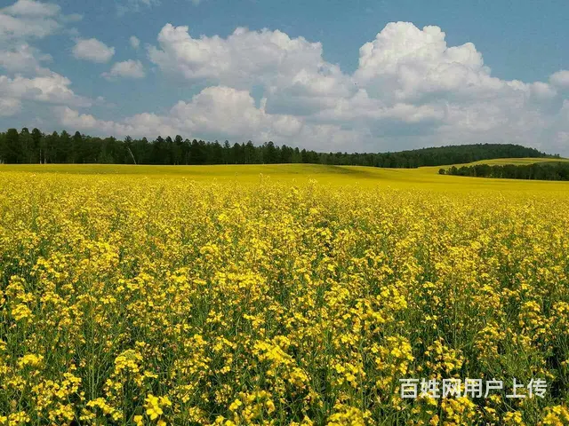 呼伦贝尔旅游包车师傅推荐常师傅靠谱 - 图片 6