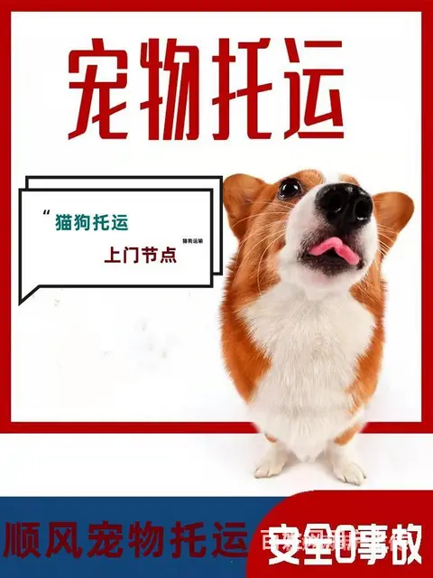 推荐）常州市到全国）宠物托运（猫狗）邮寄快递（宠物活体运输） - 图片 6