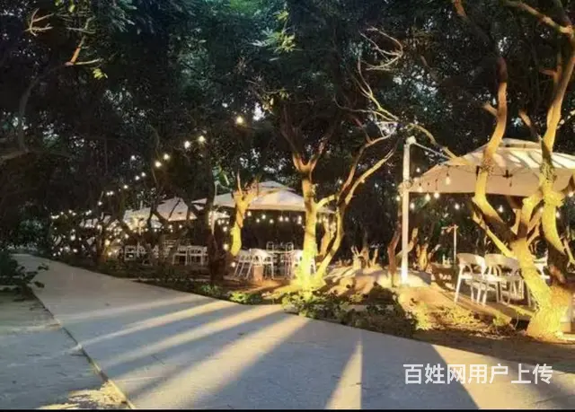 （51旺铺推荐）海棠湾1500平林下餐厅出租（直租无转让费） - 图片 4